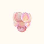 Modernist Sconces In Hand-Blown Murano Glass Wholesale - Image 15