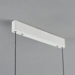 Tinuse_Lumina Horizon Pendant Light_0013