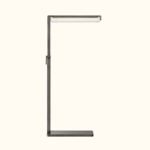 Audubon Crystal Task Floor Lamp - Image 3