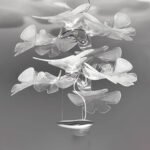 CHLOROPHILIA Pendant Light - Image 4