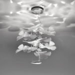 CHLOROPHILIA Pendant Light - Image 5